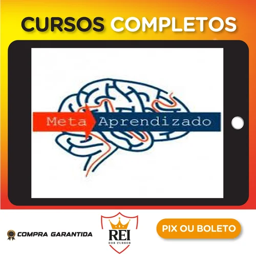 Meta Aprendizado Acelerado - Marcelo Maia