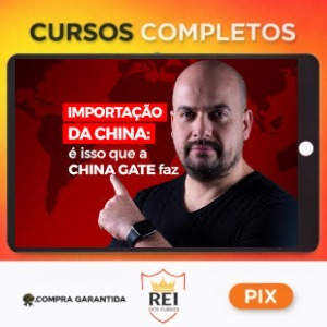 Conexão China 2.0 - Rodrigo Giraldelli (China Gate)
