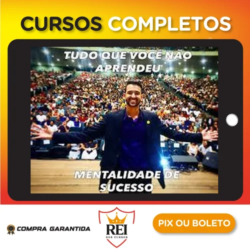 Tudo Que Você Não Aprendeu: Mentalidade de Sucesso - Luis Felipe
