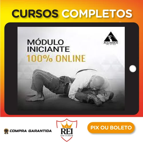 Metodologia Alliance de Ensino: Módulo Iniciantes - Alliance