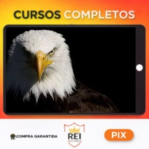Mentoria Águias Do Tiktok - Samuka